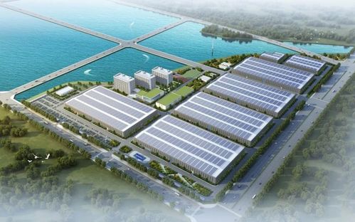 千億巨頭跨界新能源，百億項目奠基加速產業布局